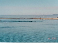 Baja-042.jpg